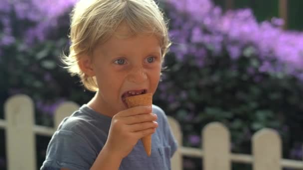 Маленький мальчик на лавандовой ферме ест мороженое из лаванды — стоковое видео