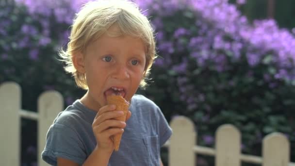 Menino em uma fazenda de lavanda comendo um sorvete feito de lavanda — Vídeo de Stock