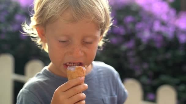 Niño pequeño en una granja de lavanda comiendo un helado hecho de lavanda — Vídeo de stock