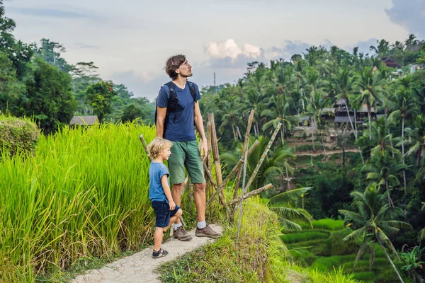 Папа и сын на рисовом поле на фоне рисовых террас, Убуд, Бали, Индонезия. Путешествие с детской концепцией. Обучение детей на практике — стоковое фото