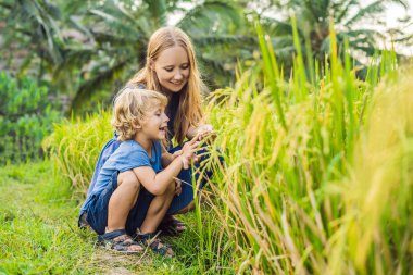 Anne ve oğlu gür yeşil bitkiler seyir terasları, Ubud, Bali, Endonezya pirinç.