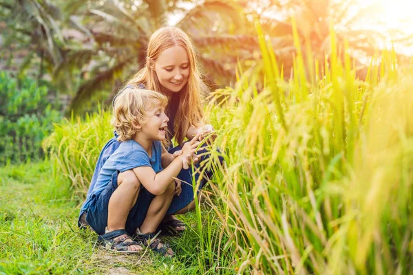 Mamma Figlio Guardando Piante Lussureggianti Terrazze Riso Verde Ubud Bali — Foto Stock