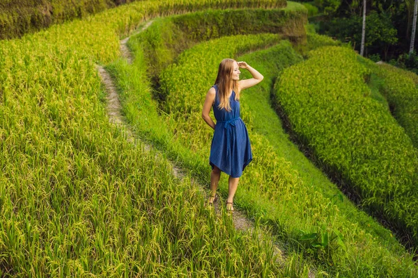 Junge Frau Geht Auf Grünen Kaskaden Reisfeldern Plantage Tgalalang Bali — Stockfoto