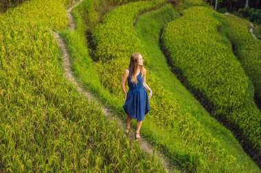 Yeşil cascade pirinç alan çiftliğinde, Tegalalang, Bali, Endonezya yürüyen genç kadın.