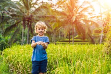 Çocuk Tegalalang Teras, Bali, Endonezya, bir yeşil cascade pirinç alan çiftlikte.