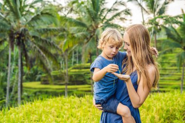 Anne ve oğlu yemyeşil yeşil poz pirinç terasları, Ubud, Bali, Endonezya.