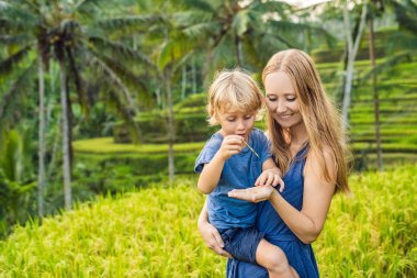 Anne ve oğlu yemyeşil yeşil poz pirinç terasları, Ubud, Bali, Endonezya.