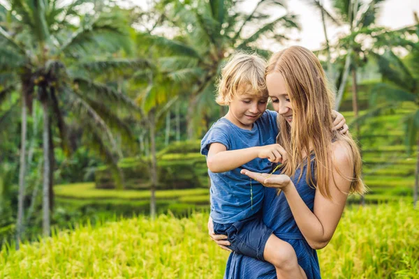 Mamma Figlio Posa Lussureggianti Terrazze Riso Verde Ubud Bali Indonesia — Foto Stock