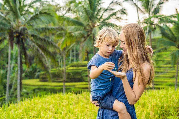 Máma Syn Pózuje Svěží Zelené Rýžové Terasy Ubud Bali Indonésie — Stock fotografie