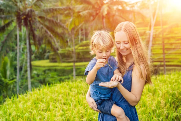 Máma Syn Pózuje Svěží Zelené Rýžové Terasy Ubud Bali Indonésie — Stock fotografie