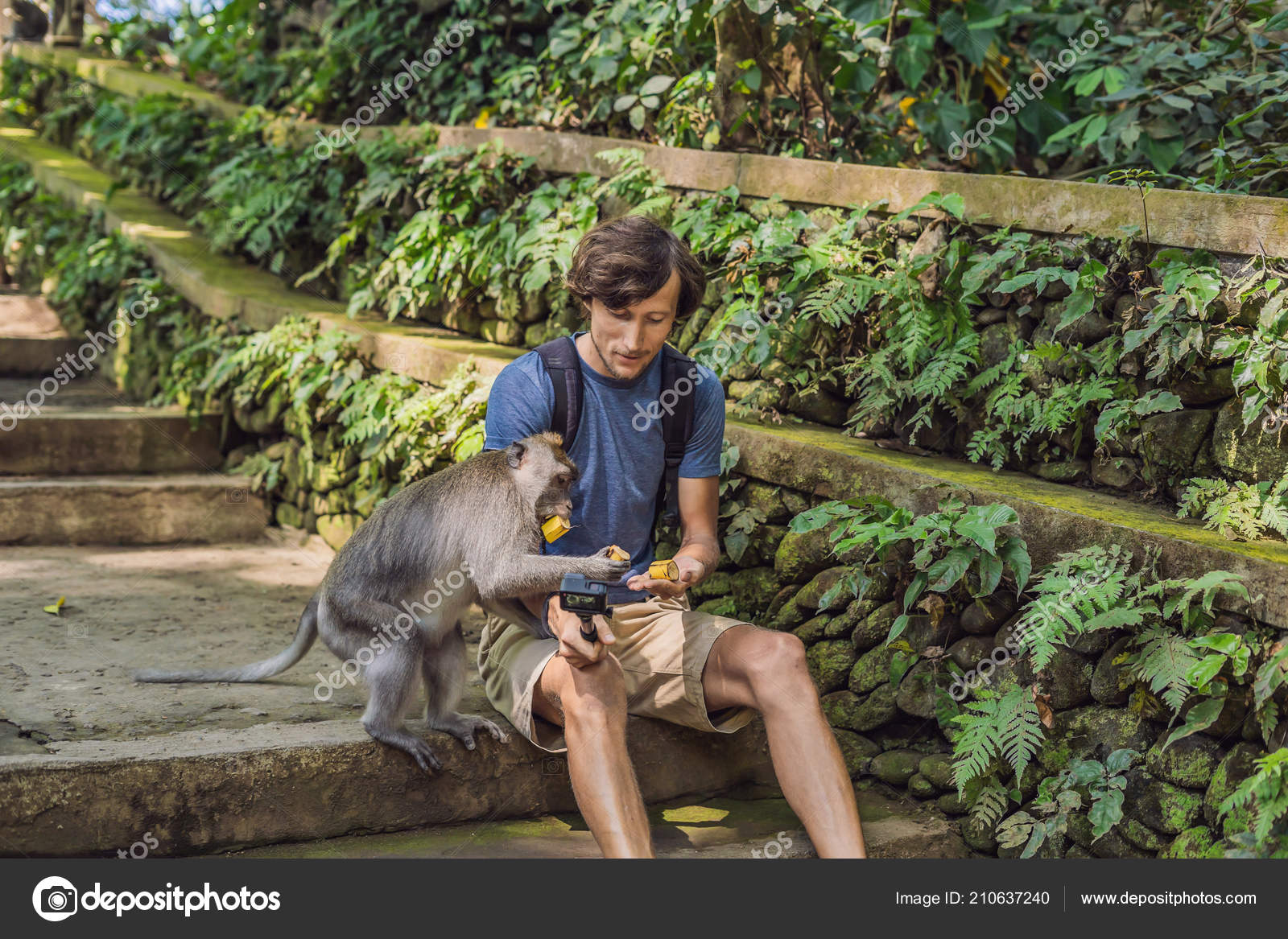 Young Man Using Selfie Stick Taking Selfie Funny Macaque Monkey Stock Photo by 210637240