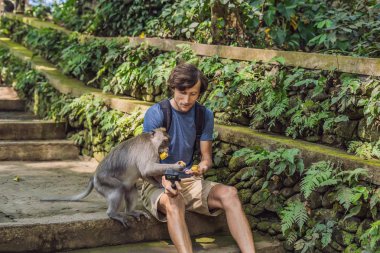 Genç adam komik makak maymunu Bali ormanda ile selfie üstündə selfie stick kullanarak.