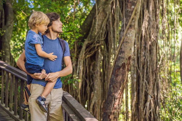Vater Und Sohn Entdecken Ubud Wald Affenwald Bali Indonesien — Stockfoto