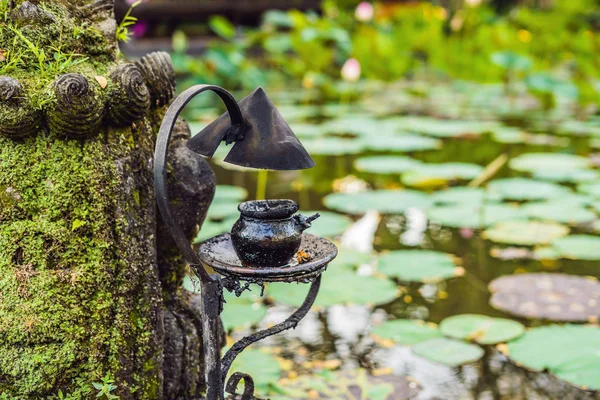 Alte Metallöllampe Auf Lotussee Bali Indonesien — Stockfoto