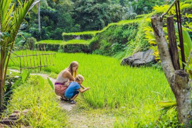 Anne ve oğlu gür yeşil bitkiler seyir terasları, Ubud, Bali, Endonezya pirinç.