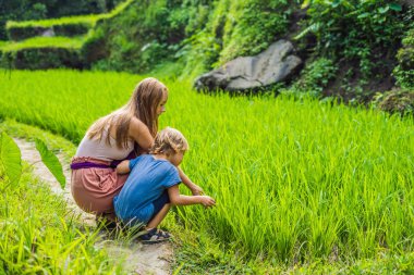Anne ve oğlu gür yeşil bitkiler seyir terasları, Ubud, Bali, Endonezya pirinç.