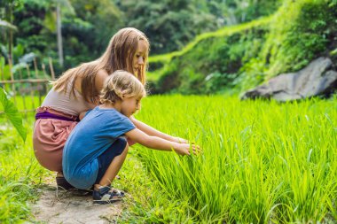 Anne ve oğlu gür yeşil bitkiler seyir terasları, Ubud, Bali, Endonezya pirinç.