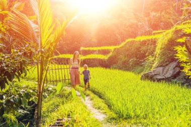 Anne ve oğlu yemyeşil yeşil yürüyüş pirinç terasları, Ubud, Bali, Endonezya.