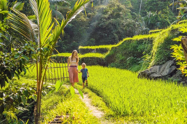 Mãe Filho Andando Terraços Arroz Verde Exuberante Ubud Bali Indonésia — Fotografia de Stock