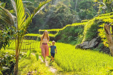 Anne ve oğlu yemyeşil yeşil yürüyüş pirinç terasları, Ubud, Bali, Endonezya.