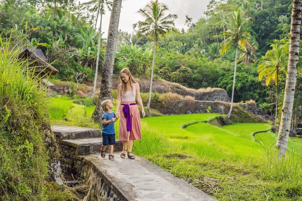 Mãe Filho Viajantes Andando Terraços Arroz Bali Indonésia — Fotografia de Stock