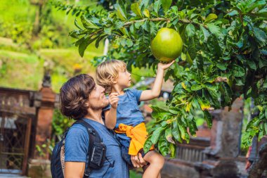 Baba ve oğlu Bael, Kebo Yuwa veya Kebo Wandira veya Kebo Wanara veya Kebo Taruna arıyoruz. Buffalo bakire - Bali dili Java bağımsızlık mücadelesi sembolü