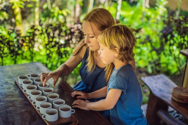 Matka Syn Ochutnávka Různých Druhů Kávy Čaje Ostrově Bali — Stock fotografie