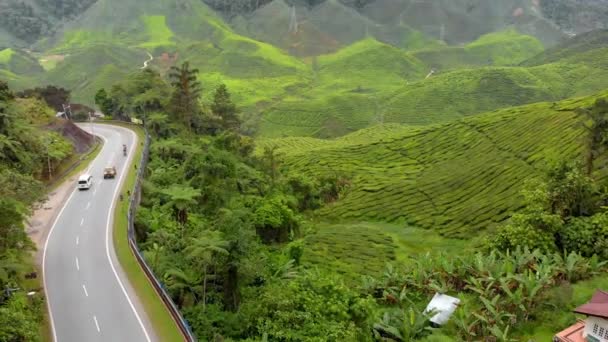 Foto aérea de una hermosa plantaciones de té-terrazas — Vídeos de Stock