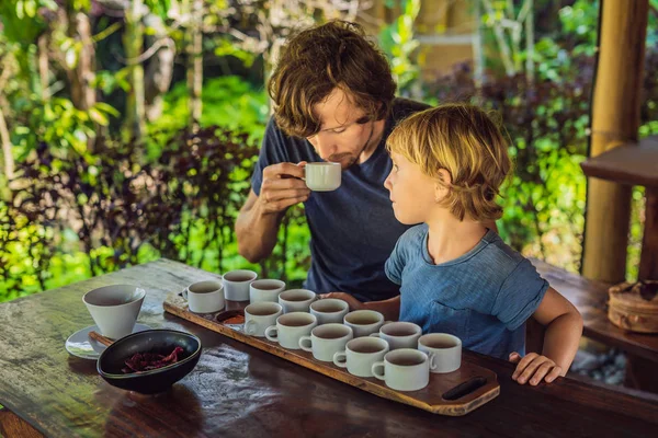 Dad and son tasting different kinds of coffee and tea on Bali island