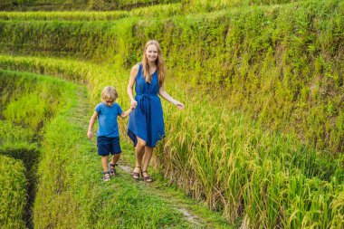 Anne ve oğlu yemyeşil yeşil yürüyüş pirinç terasları, Ubud, Bali, Endonezya.
