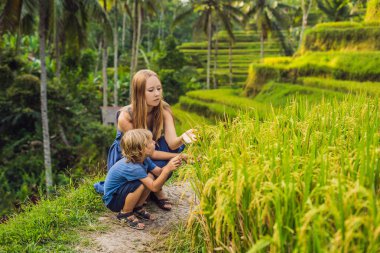 Anne ve oğlu gür yeşil bitkiler seyir terasları, Ubud, Bali, Endonezya pirinç.