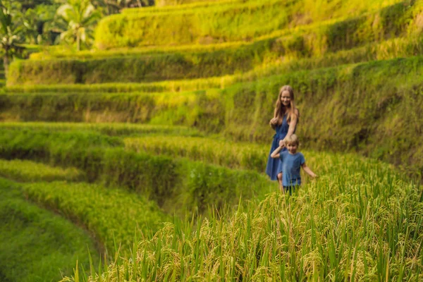 Anne ve oğlu yemyeşil yeşil yürüyüş pirinç terasları, Ubud, Bali, Endonezya.
