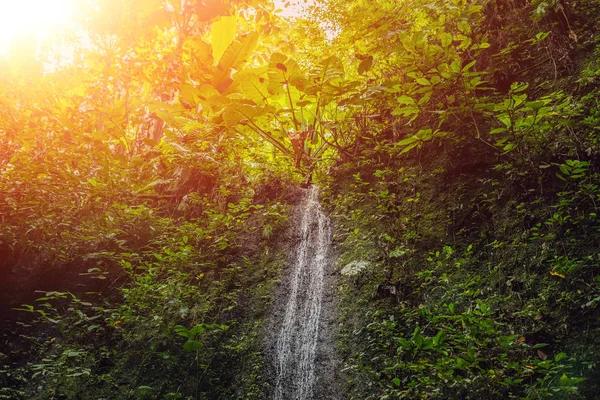 Große Wasserfälle Grünen Tropenwald Konzentrieren Sich Auf Wasserfälle Bali Mit — Stockfoto