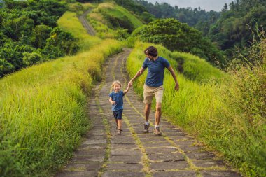 Baba ve oğul turist Campuhan Ridge yürümek, Ubud, Bali adlı çalışan