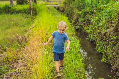 Pirinç terasları, Ubud, Bali, Endonezya'nın arka planda pirinç alan çocuk. Çocuk kavramı ile seyahat. Uygulamada çocuklara öğretmek