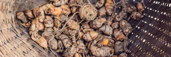 Curcuma bio frais dans un panier en osier BANNER, format long — Photo