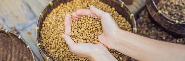 Eller tutan kadın misk kahve çekirdekleri