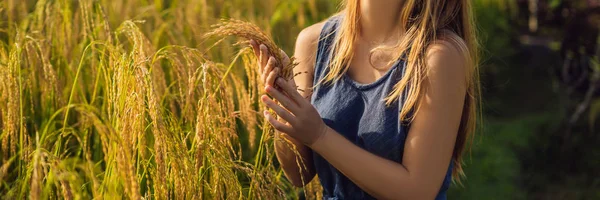 Обрізаний Знімок Жінки Позує Рослинами Рисовому Полі Сонячному Світлі — стокове фото