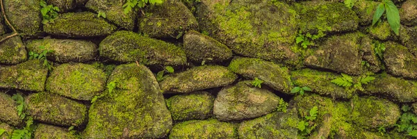 Textura Viejo Muro Piedra Cubierto Musgo Verde — Foto de Stock