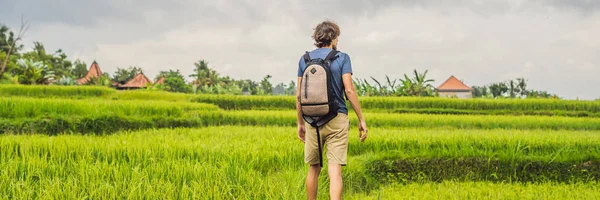 Hombre Joven Caminando Plantación Arroz Cascada Verde Bali Indonesia —  Fotos de Stock