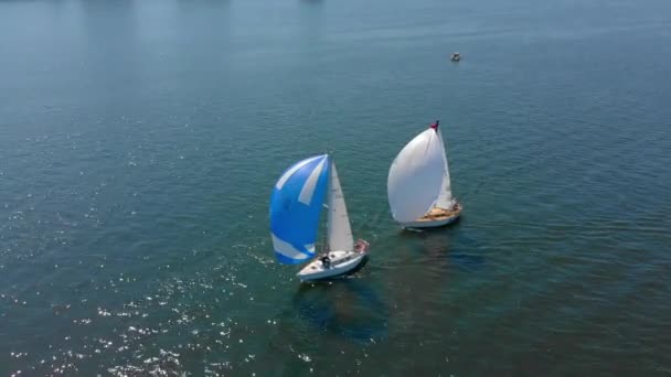 Vladivostok Russia July 2018 Aerial Shot Sailing Yachts Regatta Race — Stock Video