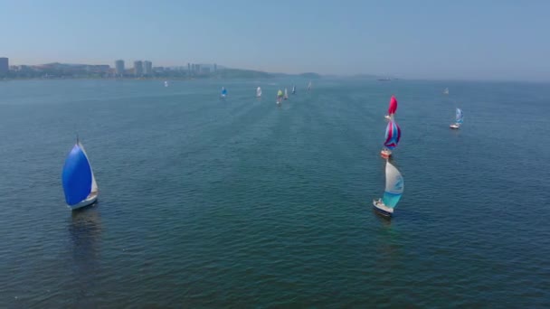 Vladivostok Rusko Července 2018 Letecký Snímek Plachetní Jachty Závod Regaty — Stock video