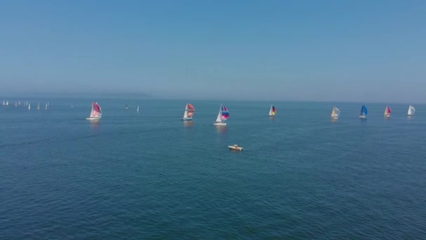 Wladiwostok Russland Juli 2018 Luftaufnahme Von Segelyachten Bei Der Regatta — Stockvideo