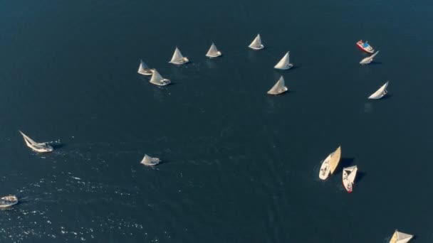 Vladivostok Russia July 2018 Aerial Shot Sailing Boats Race Regatta — Stock Video