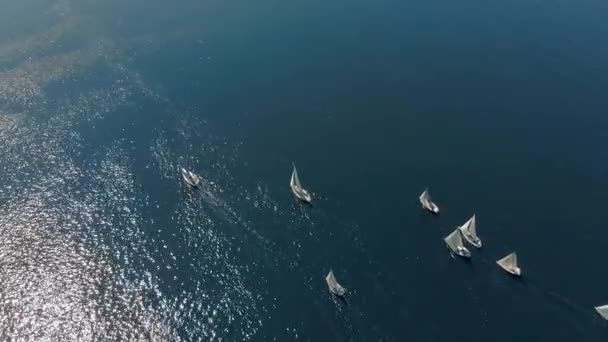 Vladivostok Russia July 2018 Aerial Shot Sailing Yachts Race Regatta — Stock Video