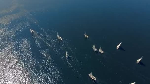 Vladivostok Russia July 2018 Aerial Shot Sailing Yachts Race Regatta — Stock Video