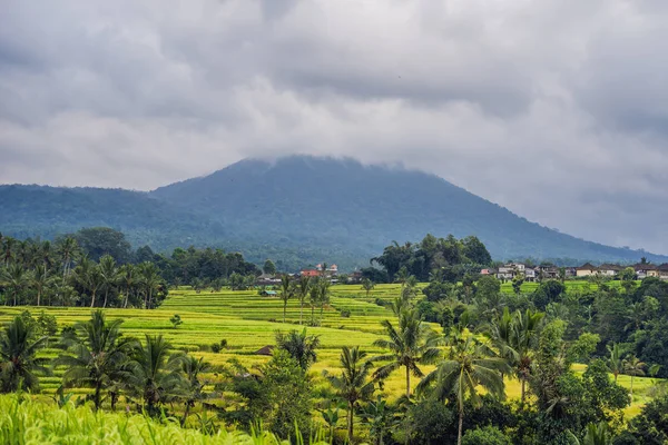 Zöld Jatiluwih Rizs Teraszok Vulkánok Felhők Háttérben Bali Indonézia — Stock Fotó