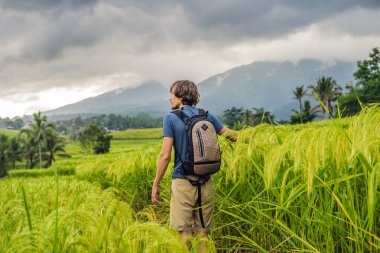 Dikiz Jatiluwih pirinç terasları, Bali, Endonezya, Genç adam traveler.