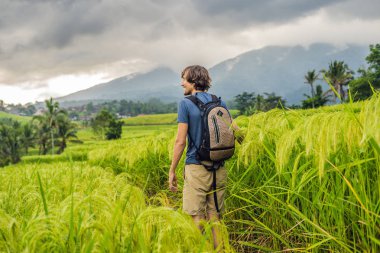 Dikiz Jatiluwih pirinç terasları, Bali, Endonezya, Genç adam traveler.
