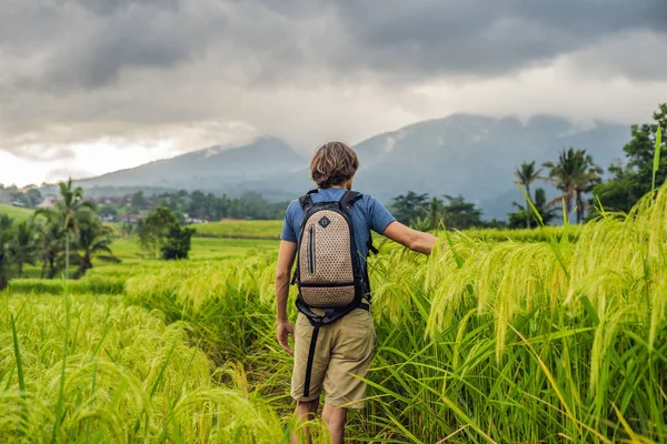 Dikiz Jatiluwih Pirinç Terasları Bali Endonezya Genç Adam Traveler — Stok fotoğraf